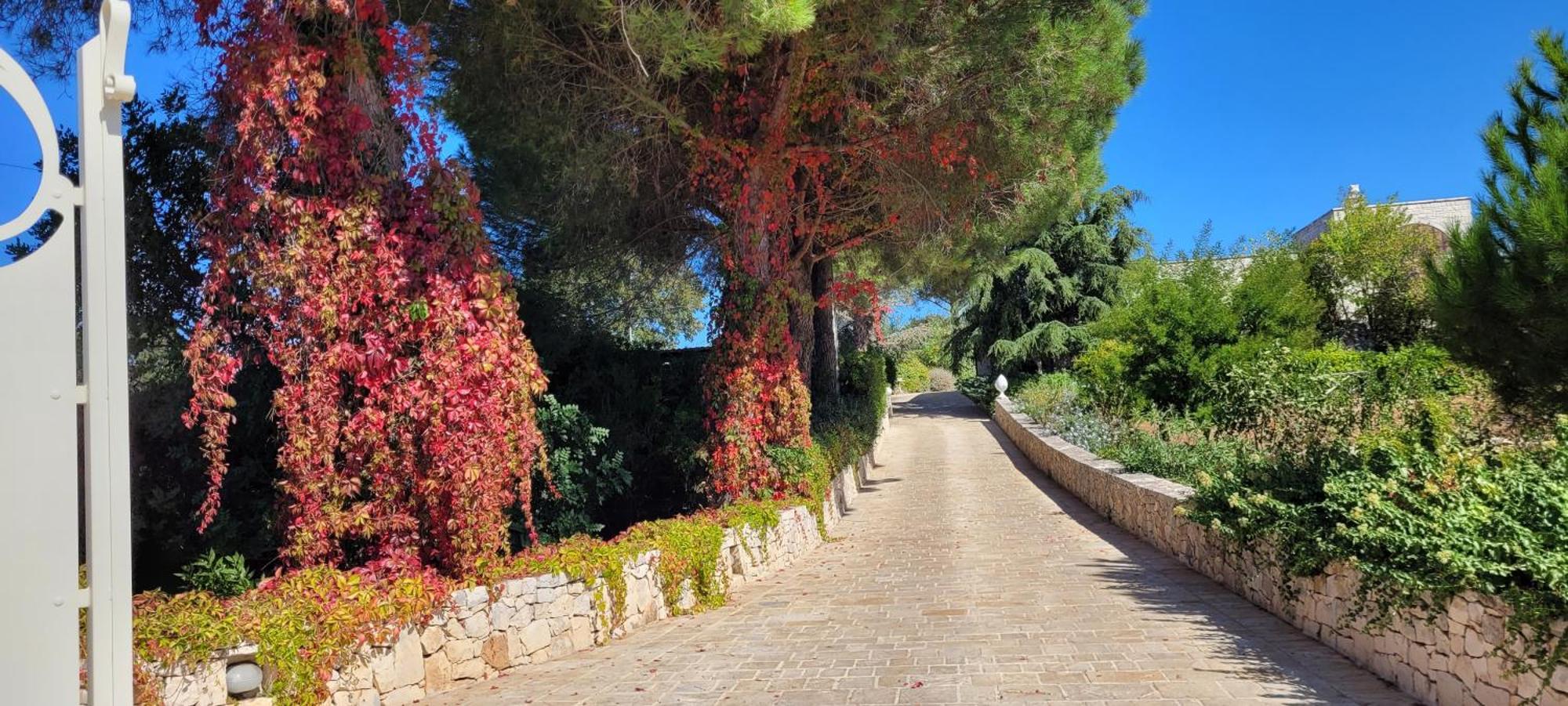 צ'יסטרנינו Villa Karmel Valle D'Itria מראה חיצוני תמונה